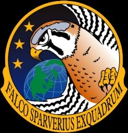 Falcon badge