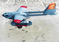 Phoenix UAV